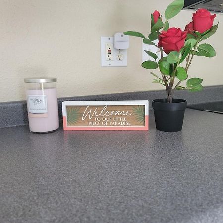 Entire Guesthouse 5 Mins To Siesta Key & Downtown ساراسوتا المظهر الخارجي الصورة
