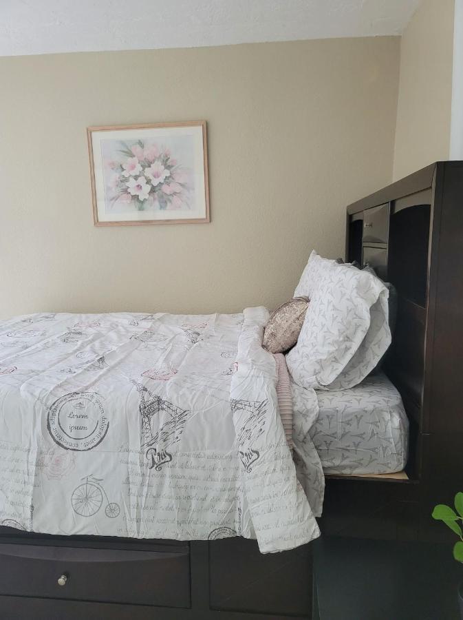 Entire Guesthouse 5 Mins To Siesta Key & Downtown ساراسوتا المظهر الخارجي الصورة